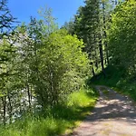 Nicht Daheim Und Doch Zuhause