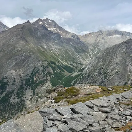 Papillon * Saas-Grund