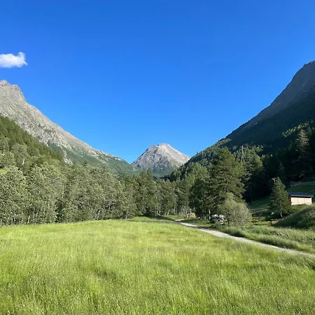 Papillon * Saas-Grund