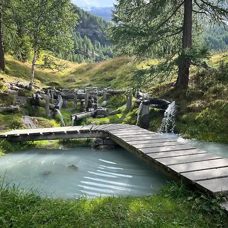 Nicht Daheim Und Doch Zuhause