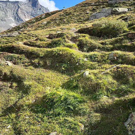 Apartment Nicht Daheim Und Doch Zuhause