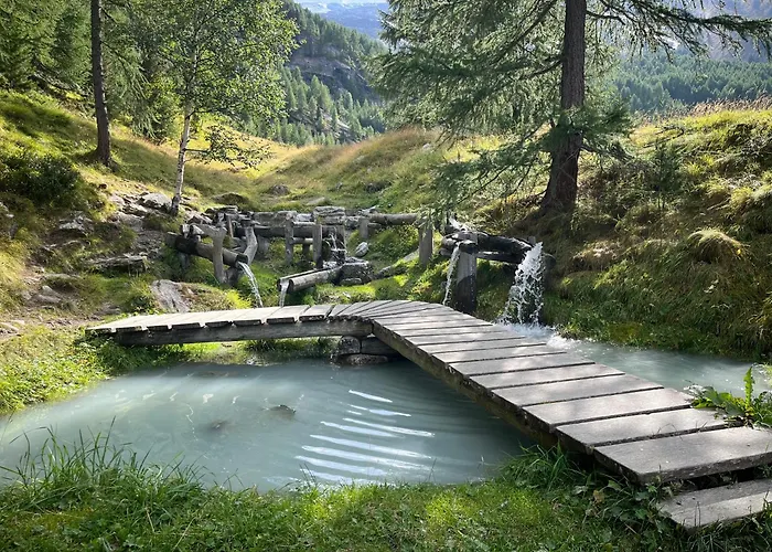 Nicht Daheim Und Doch Zuhause