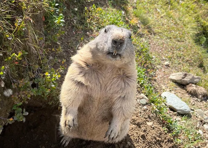 Apartment Nicht Daheim Und Doch Zuhause