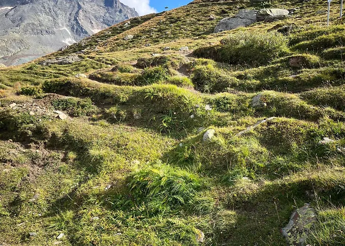 Apartment Nicht Daheim Und Doch Zuhause