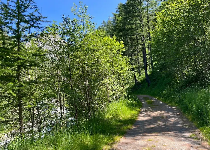 Nicht Daheim Und Doch Zuhause